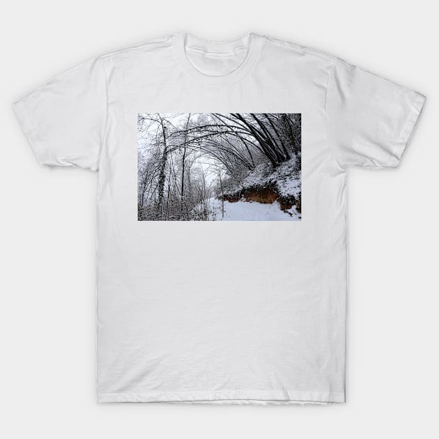 It's snowing in the woods T-Shirt by annalisa56